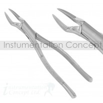 Offset Wolf Incisor Tooth Forceps 18cm 